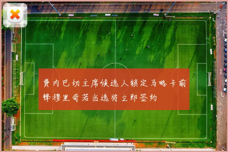 费内巴切主席候选人锁定马略卡前锋穆里奇若当选将立即签约