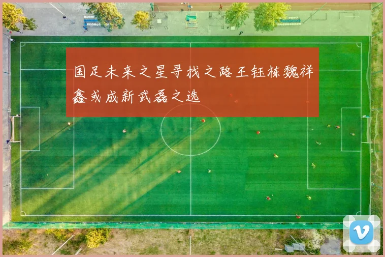 国足未来之星寻找之路王钰栋魏祥鑫或成新武磊之选